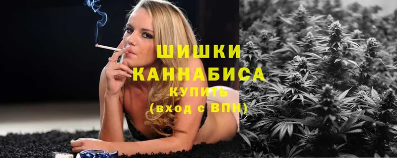 купить наркоту  Жиздра  МАРИХУАНА SATIVA & INDICA 